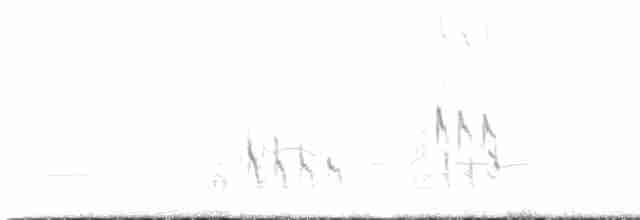 Короткоклювый бекасовидный веретенник - ML58178971