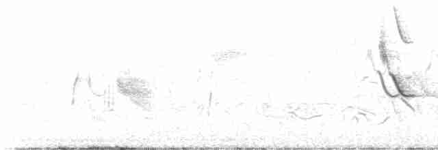 Тростниковый крапивник - ML581792371