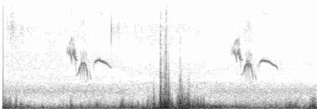 Tawny Pipit - ML581794101
