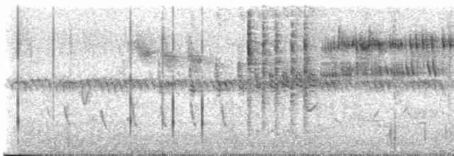 Eastern Orphean Warbler - ML581802541
