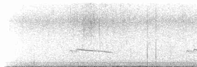 Gray-bellied Cuckoo - ML581843541
