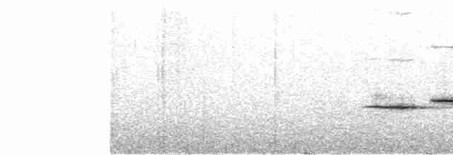 Дрозд-отшельник - ML581869201