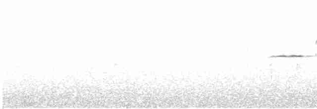 Дрізд-короткодзьоб плямистоволий - ML581871731