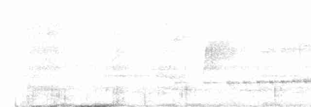 Kara Gagalı Koca Vireo - ML581884181