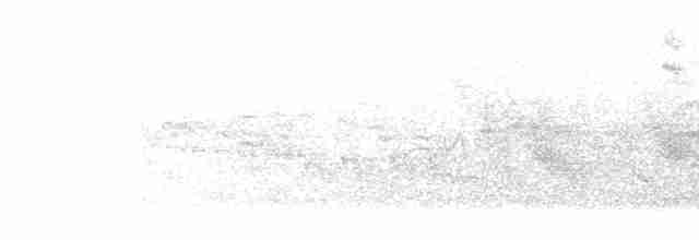 Common Redstart (Common) - ML581889581