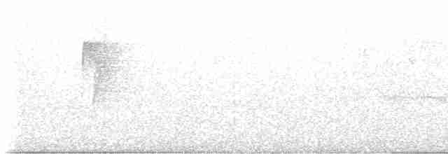 Cerulean Warbler - ML581918441