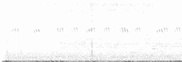 káně rudochvostá (ssp. calurus/alascensis) - ML581925861
