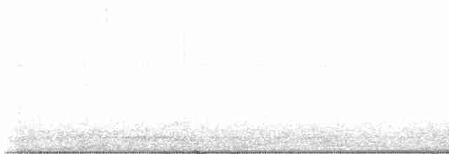Краснохвостый канюк (calurus/alascensis) - ML581926301