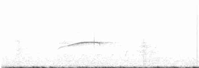 Копетон острівний - ML581927071