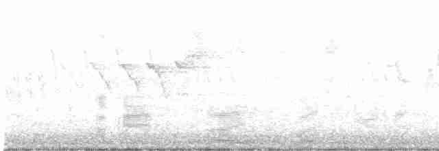 Acadian Flycatcher - ML581937101