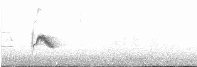Bicknell Bülbül Ardıcı - ML581950551