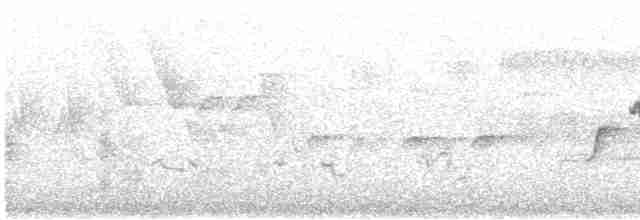 Common Yellowthroat - ML581987071
