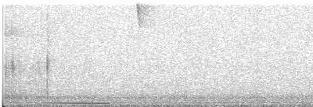 holub bělohrdlý - ML581997751