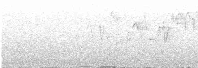 Pasifik Çıtkuşu - ML582038151