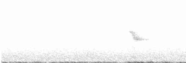 Пестрогорлый соловьиный дрозд - ML582039141