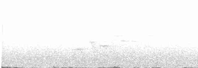 Дрізд-короткодзьоб Cвенсона - ML582041291