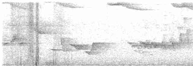 Серогрудый крапивник - ML582044931
