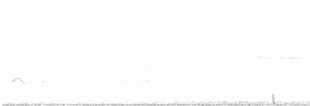 Chipping Sparrow - ML582055041