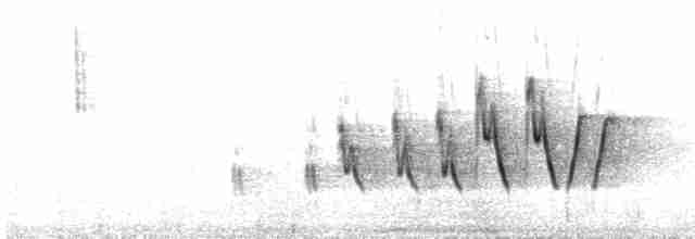 Kirtland's Warbler - ML582056821