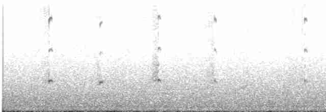 Magellanic Oystercatcher - ML582092311