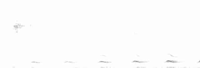 Black-tailed Trogon - ML582107461