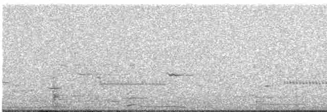 Common Gallinule - ML582107831
