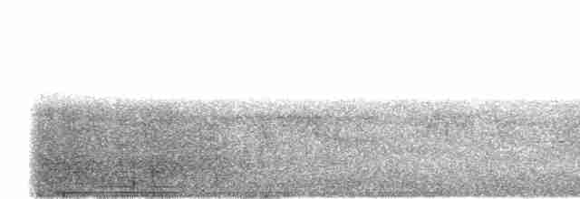 hvitkronekløftstjert (sinensis/indicus) - ML582111451