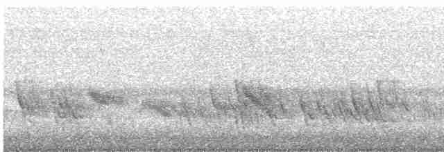 Büyük Mor Kırlangıç - ML582117471