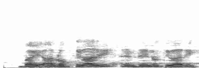 Gray-hooded Warbler - ML582134811