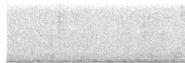 chřástalík kaštanovoprsý - ML582138551