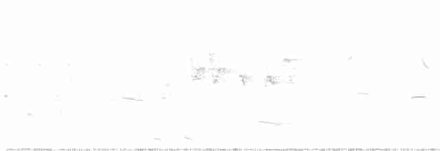 Малая морская чернеть - ML582147161