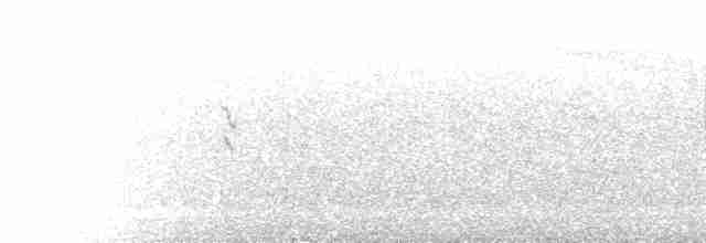 Greenish Warbler - ML582152931