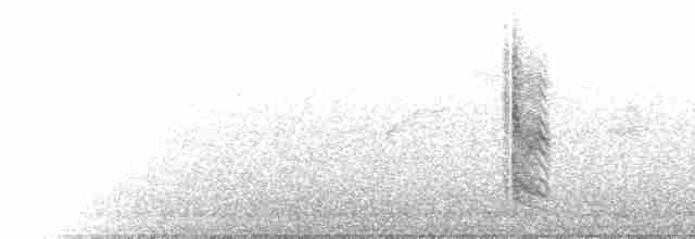 Сорокопуд чорнолобий - ML582153161