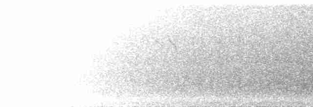 White-crowned Penduline-Tit - ML582153331