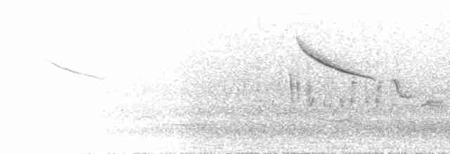 White-crowned Penduline-Tit - ML582153351