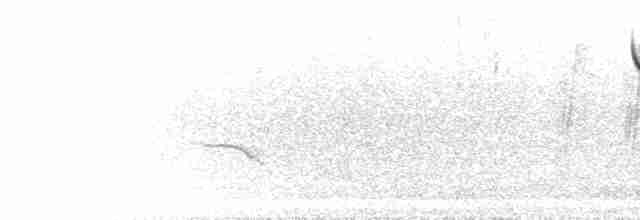 White-crowned Penduline-Tit - ML582161321