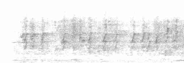 Ластівка міська (підвид urbicum/meridionale) - ML582163821