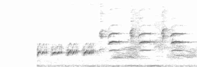 Great Reed Warbler - ML582174941