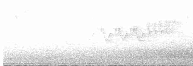 Cerulean Warbler - ML582175121