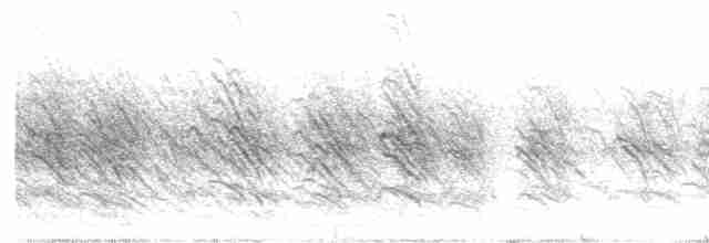 Ясківка білолоба [група pyrrhonota] - ML582178581