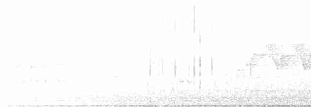 Cerulean Warbler - ML582179661