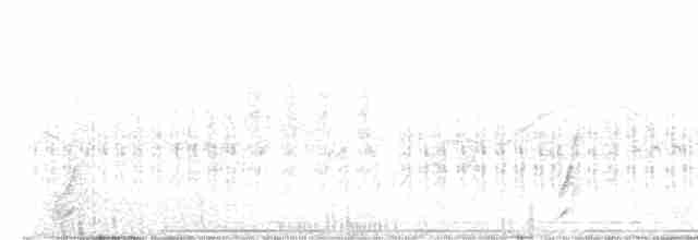 斑胸秧雞 - ML582193541