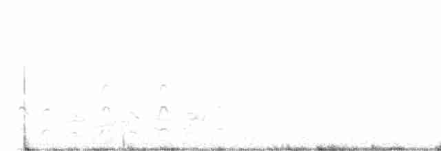 břehouš černoocasý - ML582201331