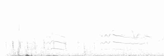 břehouš černoocasý - ML582201411