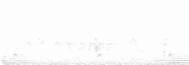 strakapoud bělohřbetý - ML582202891