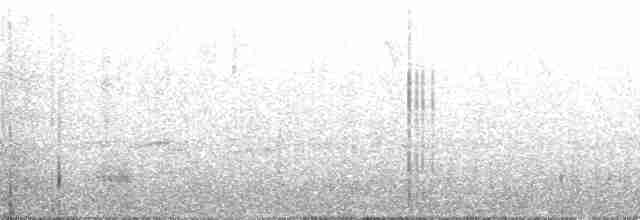 Амазон-карлик чорнокрилий - ML58222