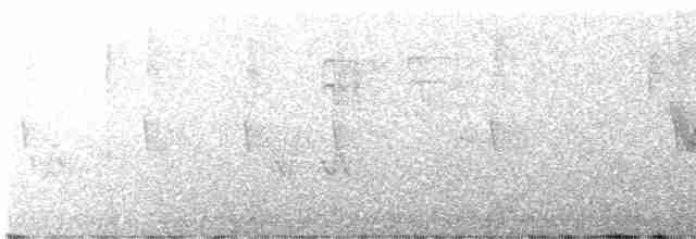 Cerulean Warbler - ML582222241