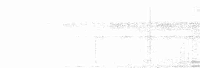 White-crested Spadebill - ML582268601