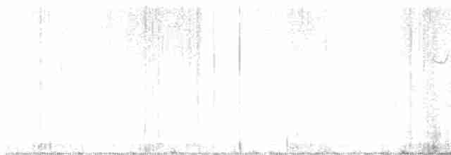 White-eyed Vireo - ML582281811