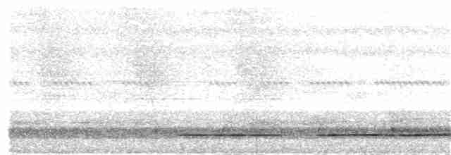 Undulated Tinamou - ML58232001